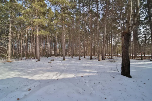 $289,900 | 32042 Darner Lane, Pequot Lakes, MN 56472