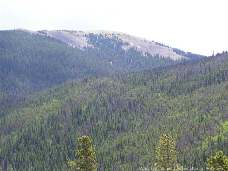 195 River Run Road, Unit 8012 Keystone, CO 80435 - Photo 14 of 19 View.