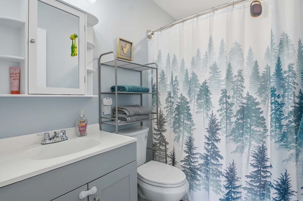 185 Davis Road Westminster, MA 01473 - Photo 20 of 36 a bathroom with a sink a toilet and shower curtain