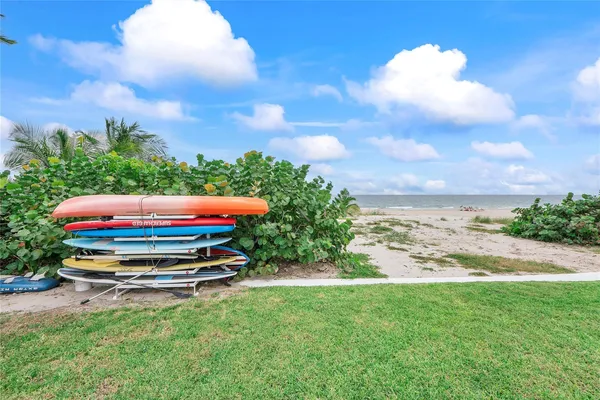 a small garden covered with tall trees