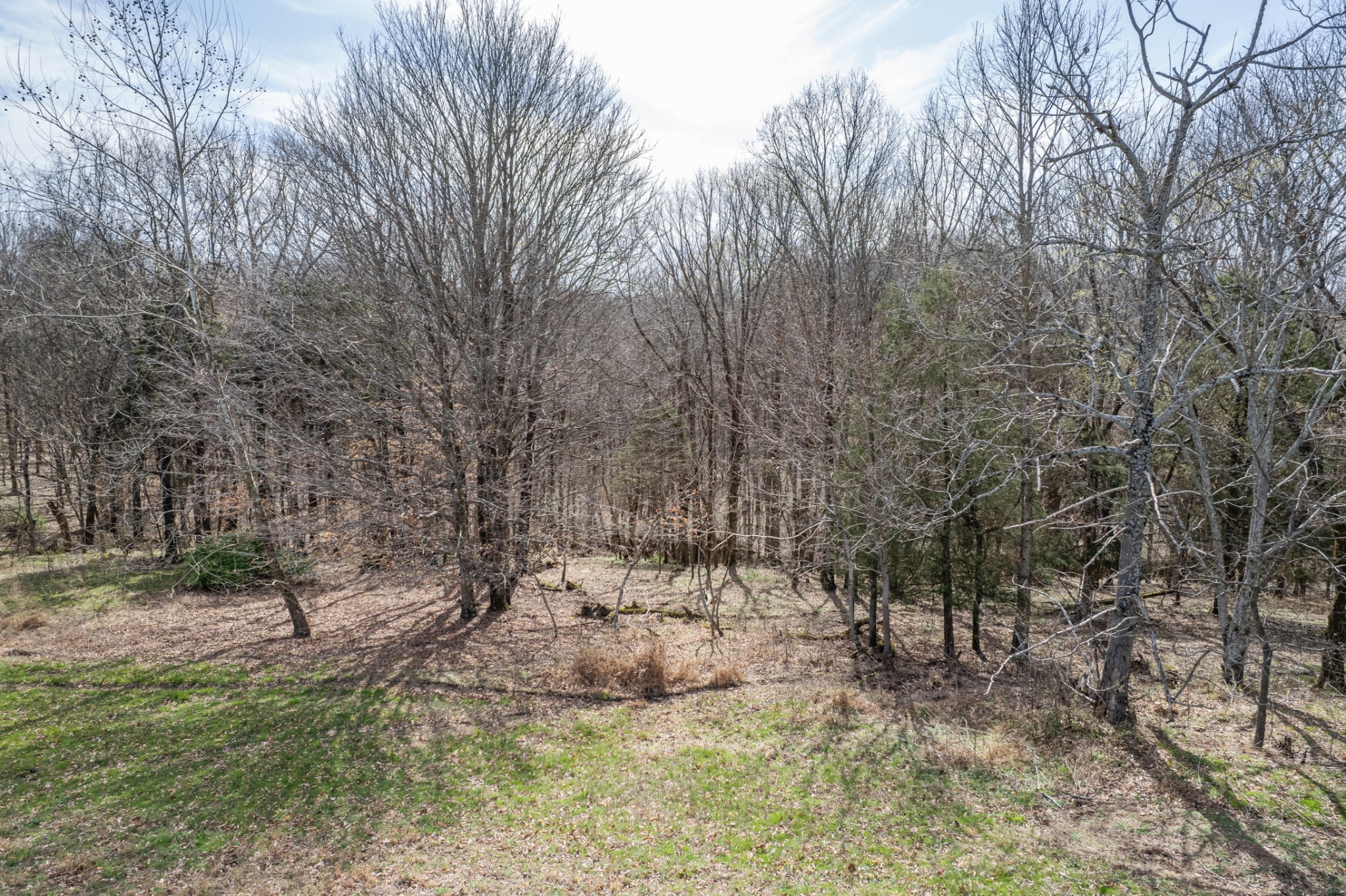 2675 Red Nix Road Cornersville, TN 37047 - Photo 15 of 52 a view of covered with green space