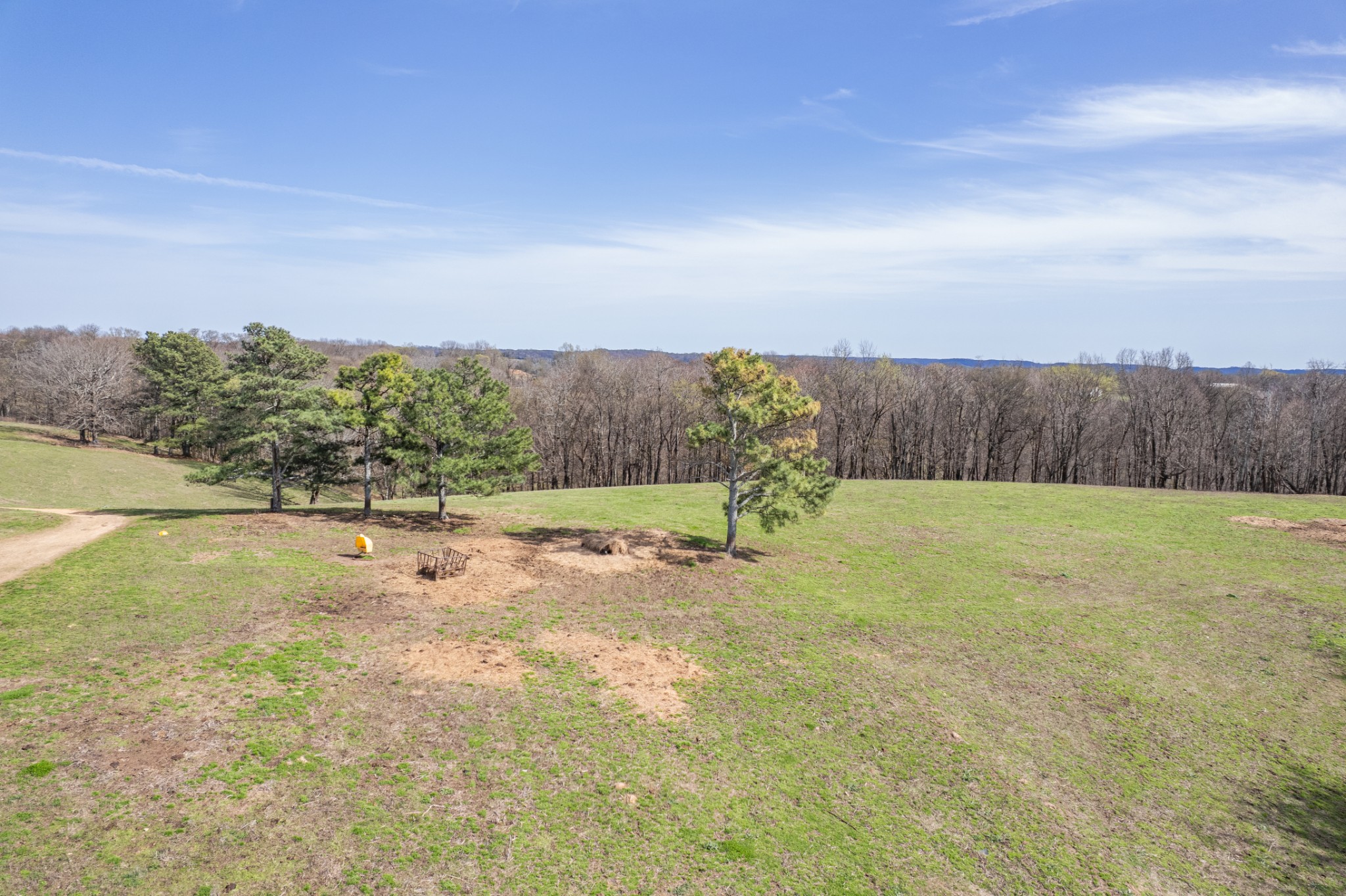 2675 Red Nix Road Cornersville, TN 37047 - Photo 16 of 52 a view of a yard
