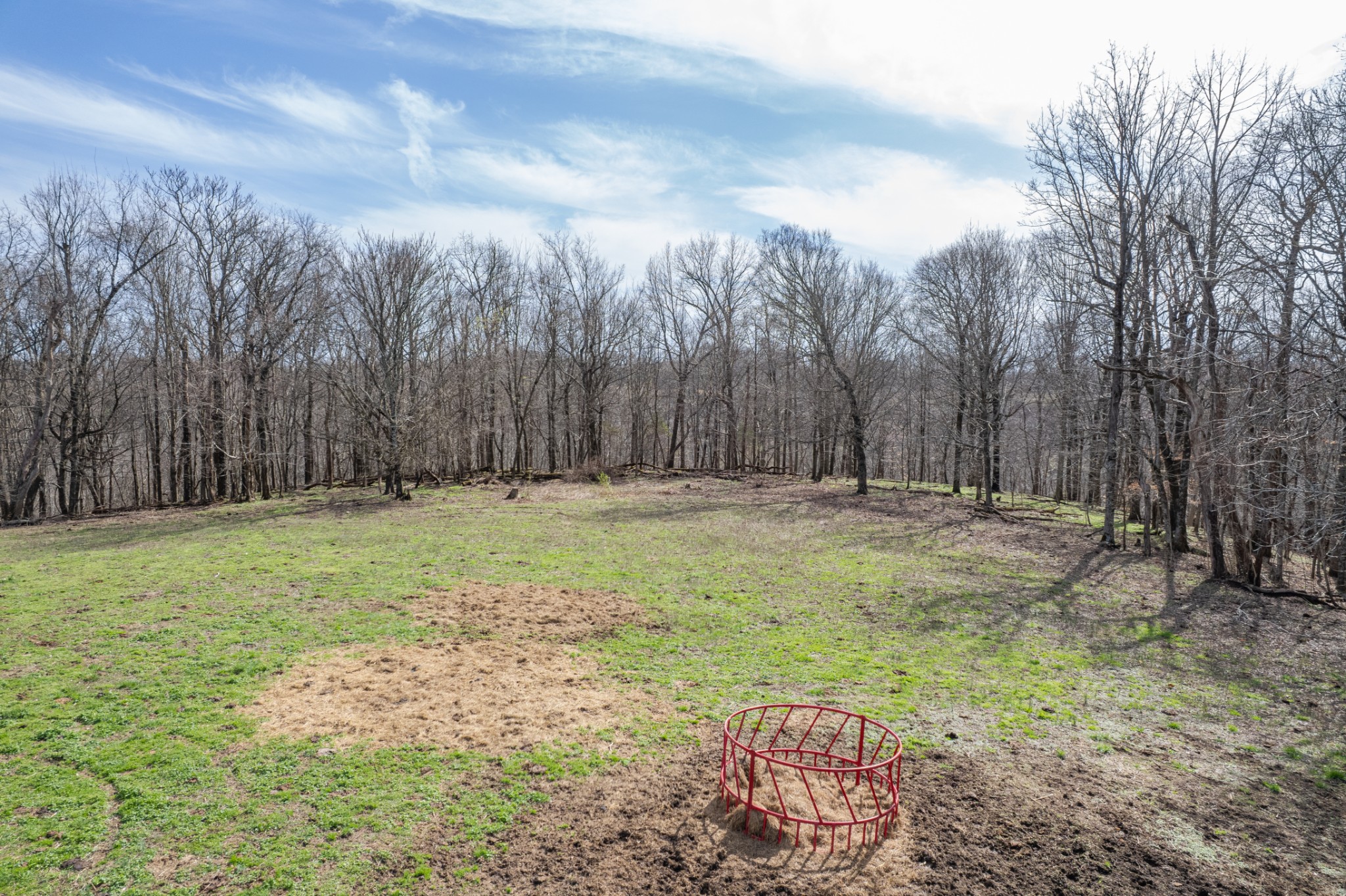 2675 Red Nix Road Cornersville, TN 37047 - Photo 18 of 52 a view of backyard with green space