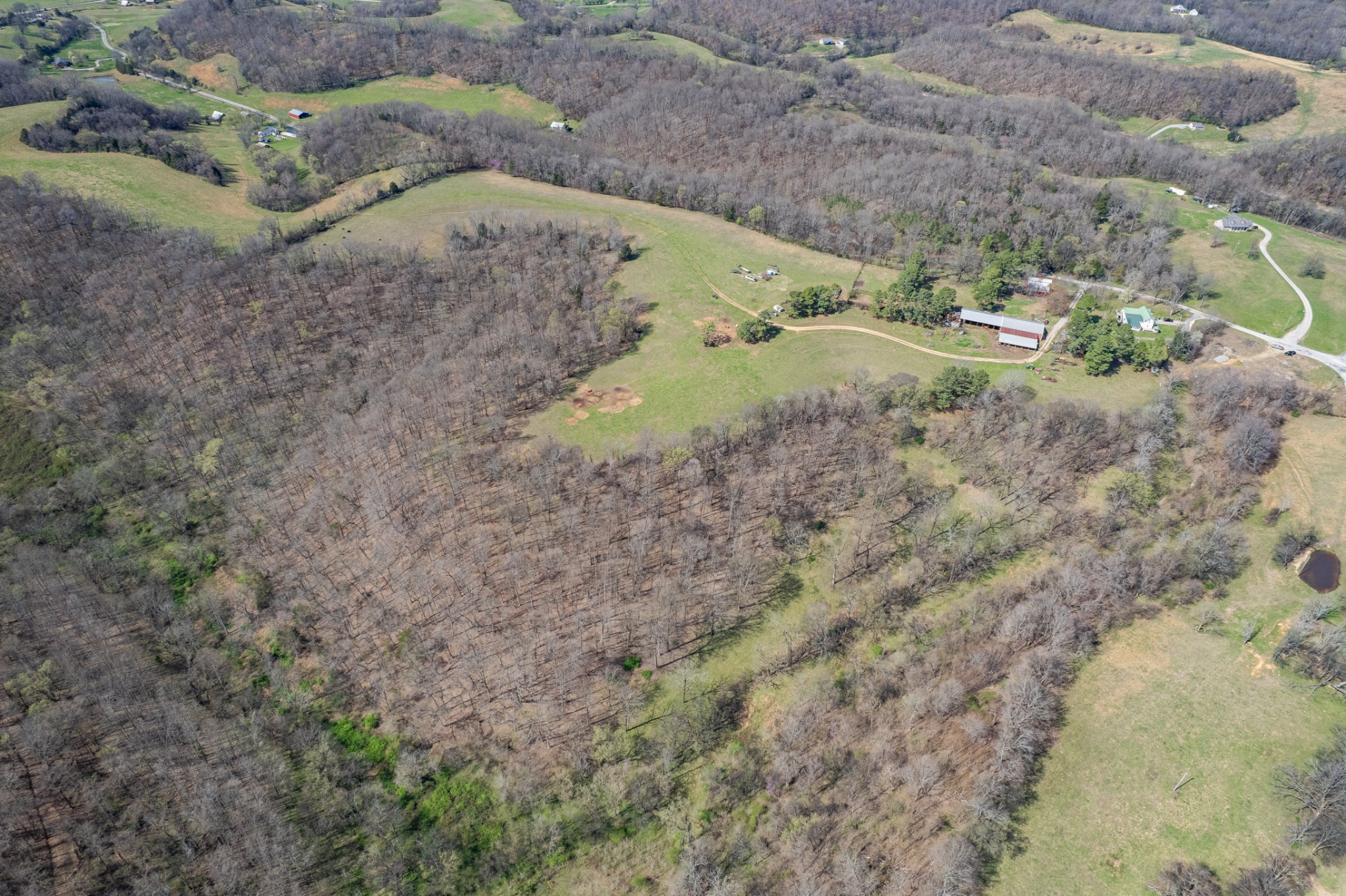 2675 Red Nix Road Cornersville, TN 37047 - Photo 2 of 52 a view of a dry yard with lots of green space