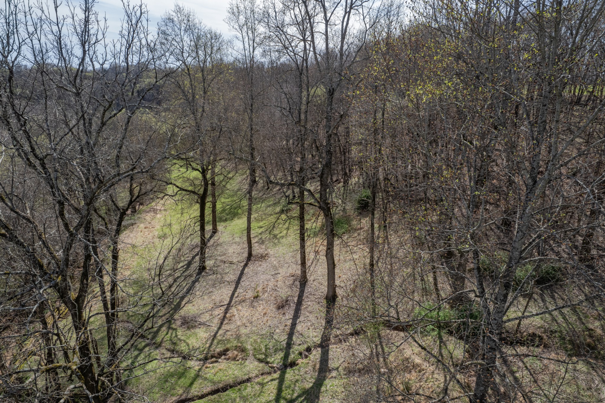2675 Red Nix Road Cornersville, TN 37047 - Photo 26 of 52 a backyard of a house with lots of green space