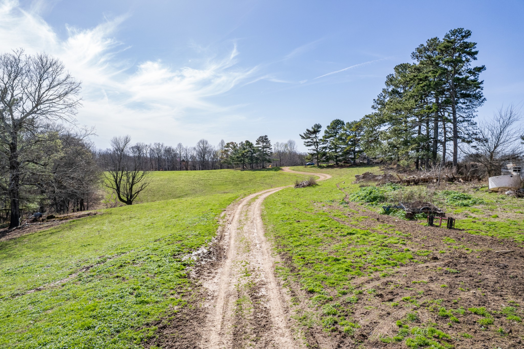 2675 Red Nix Road Cornersville, TN 37047 - Photo 28 of 52 a view of a park with large trees