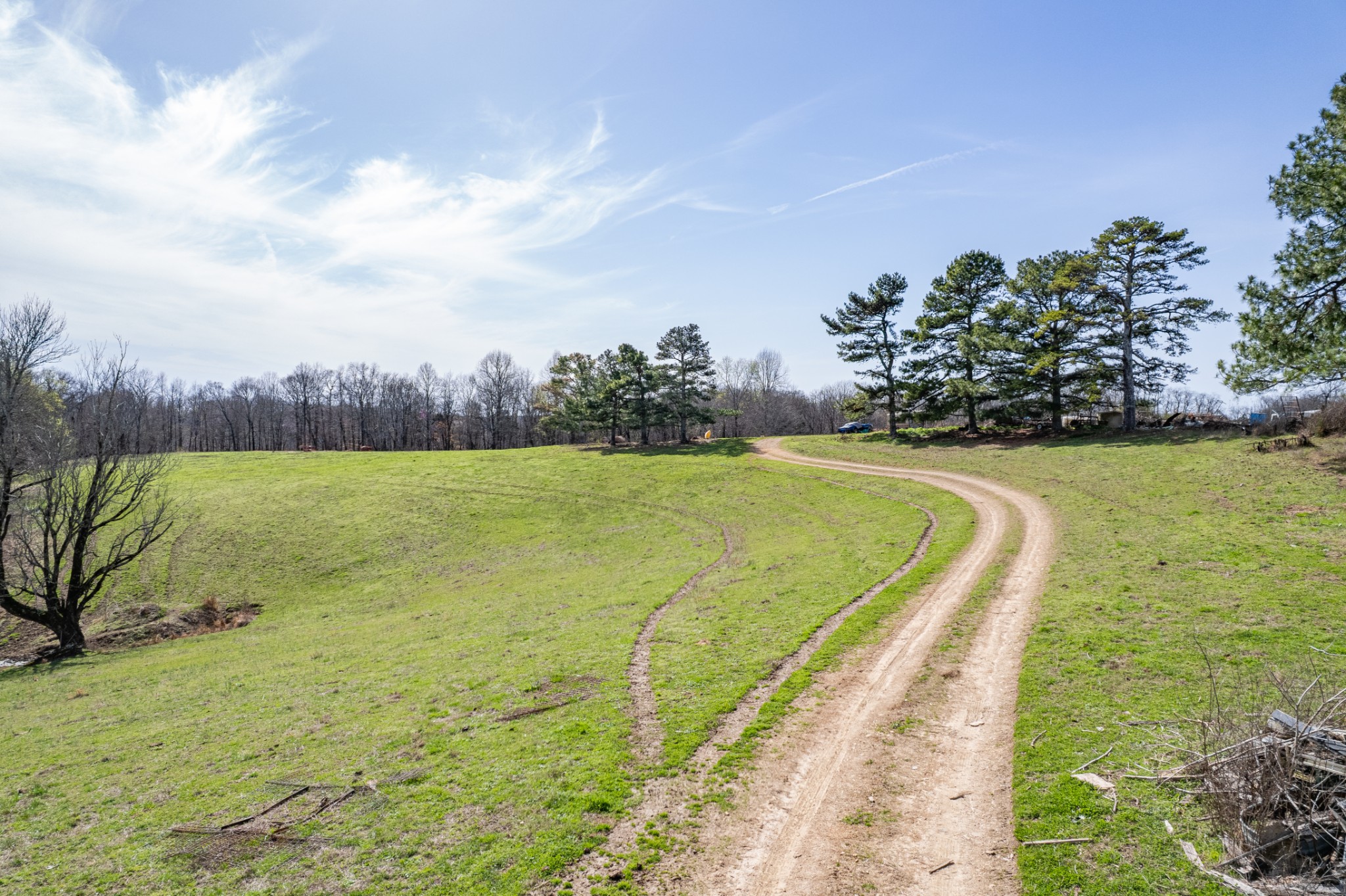 2675 Red Nix Road Cornersville, TN 37047 - Photo 29 of 52 a view of a lake with a big yard