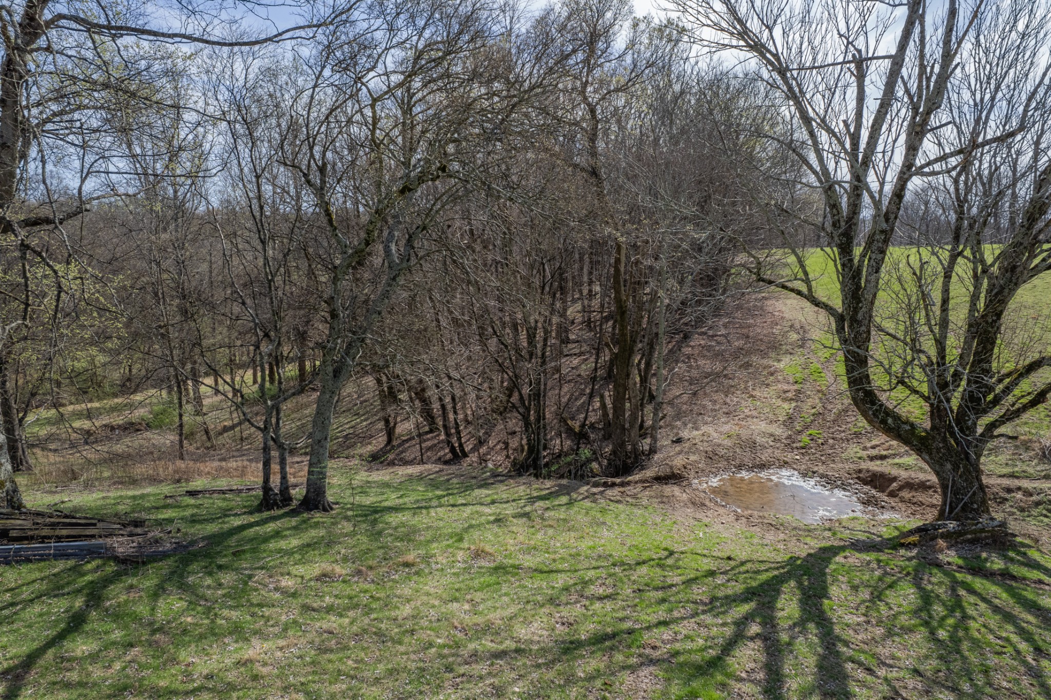 2675 Red Nix Road Cornersville, TN 37047 - Photo 30 of 52 a view of backyard with green space