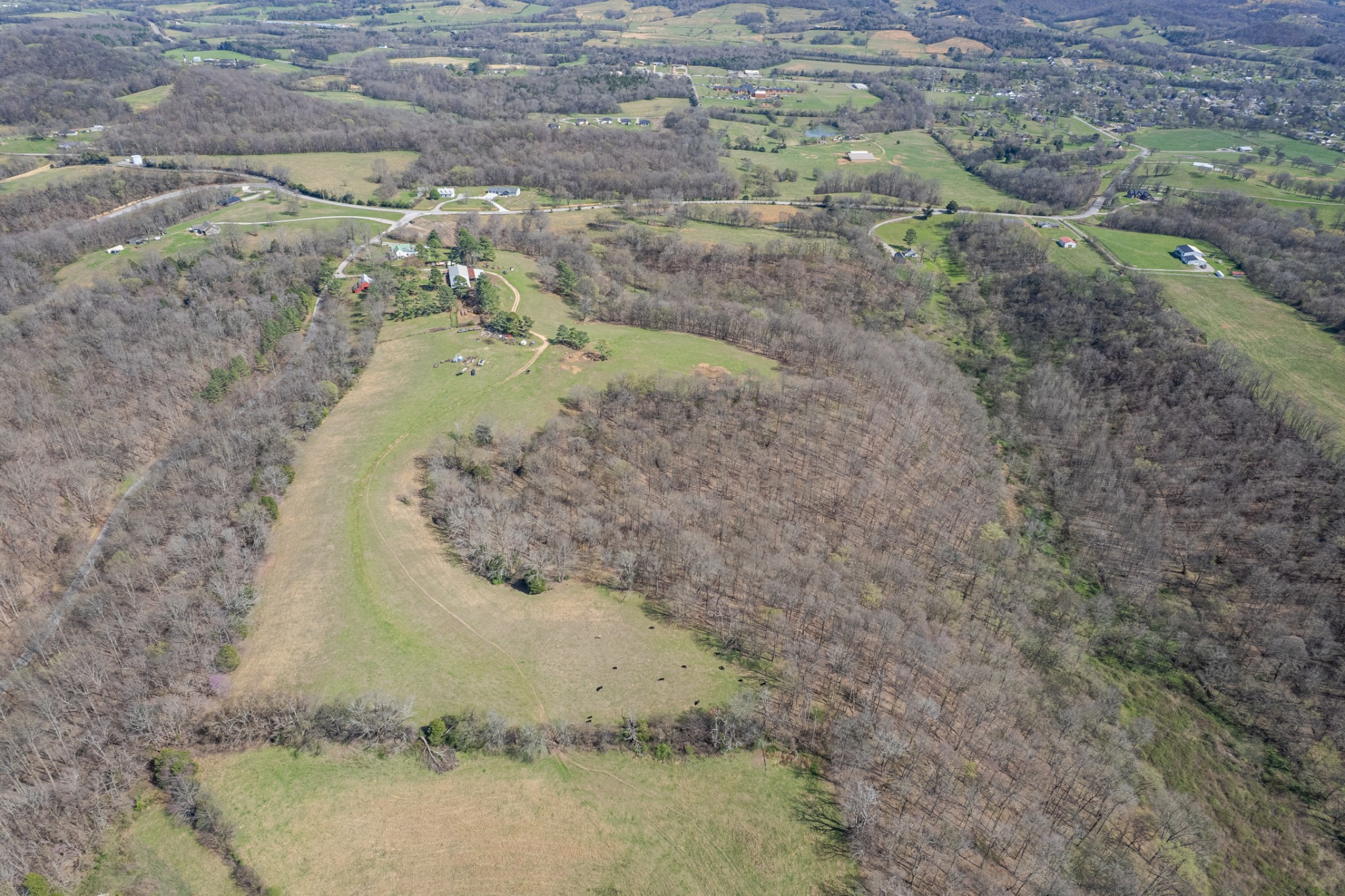 2675 Red Nix Road Cornersville, TN 37047 - Photo 3 of 52