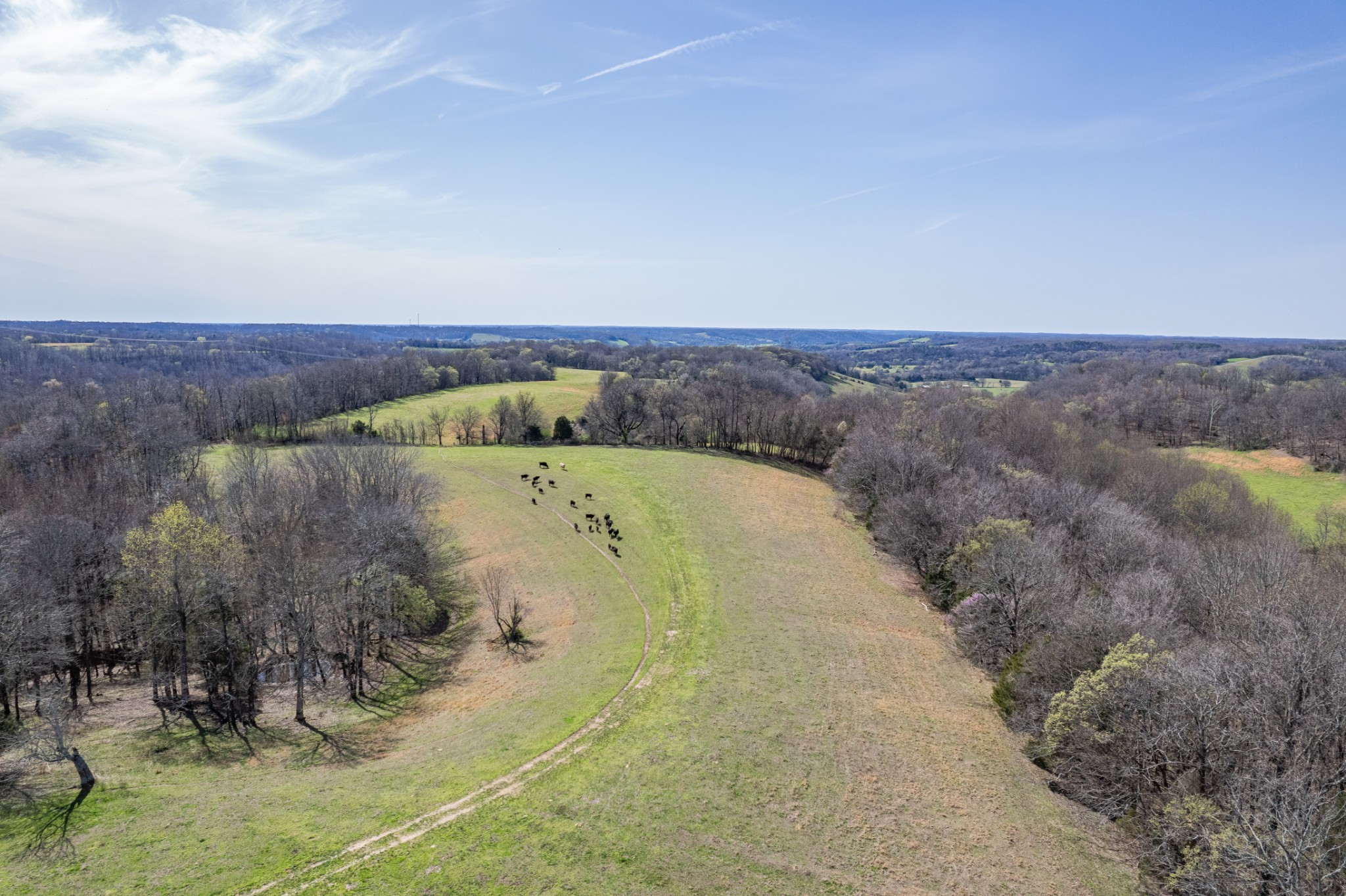 2675 Red Nix Road Cornersville, TN 37047 - Photo 35 of 52 a view of a lake with a mountain in the back