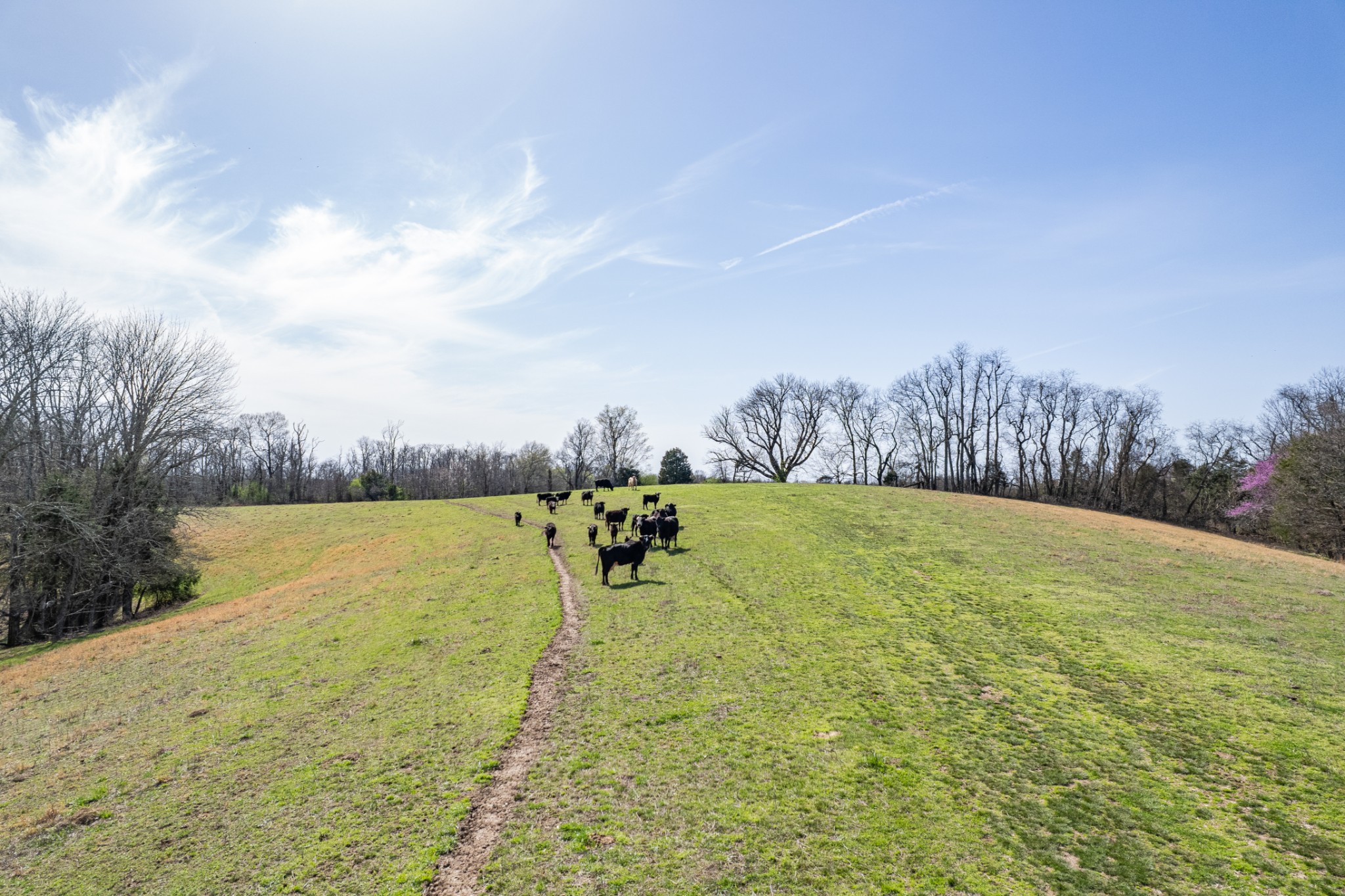 2675 Red Nix Road Cornersville, TN 37047 - Photo 36 of 52 a view of an ocean view