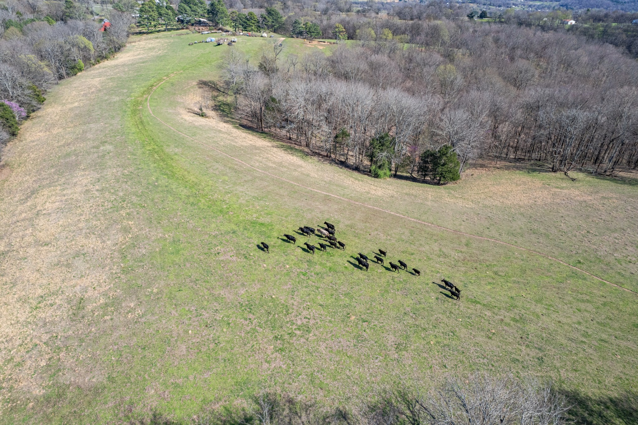 2675 Red Nix Road Cornersville, TN 37047 - Photo 39 of 52 a view of a dry yard