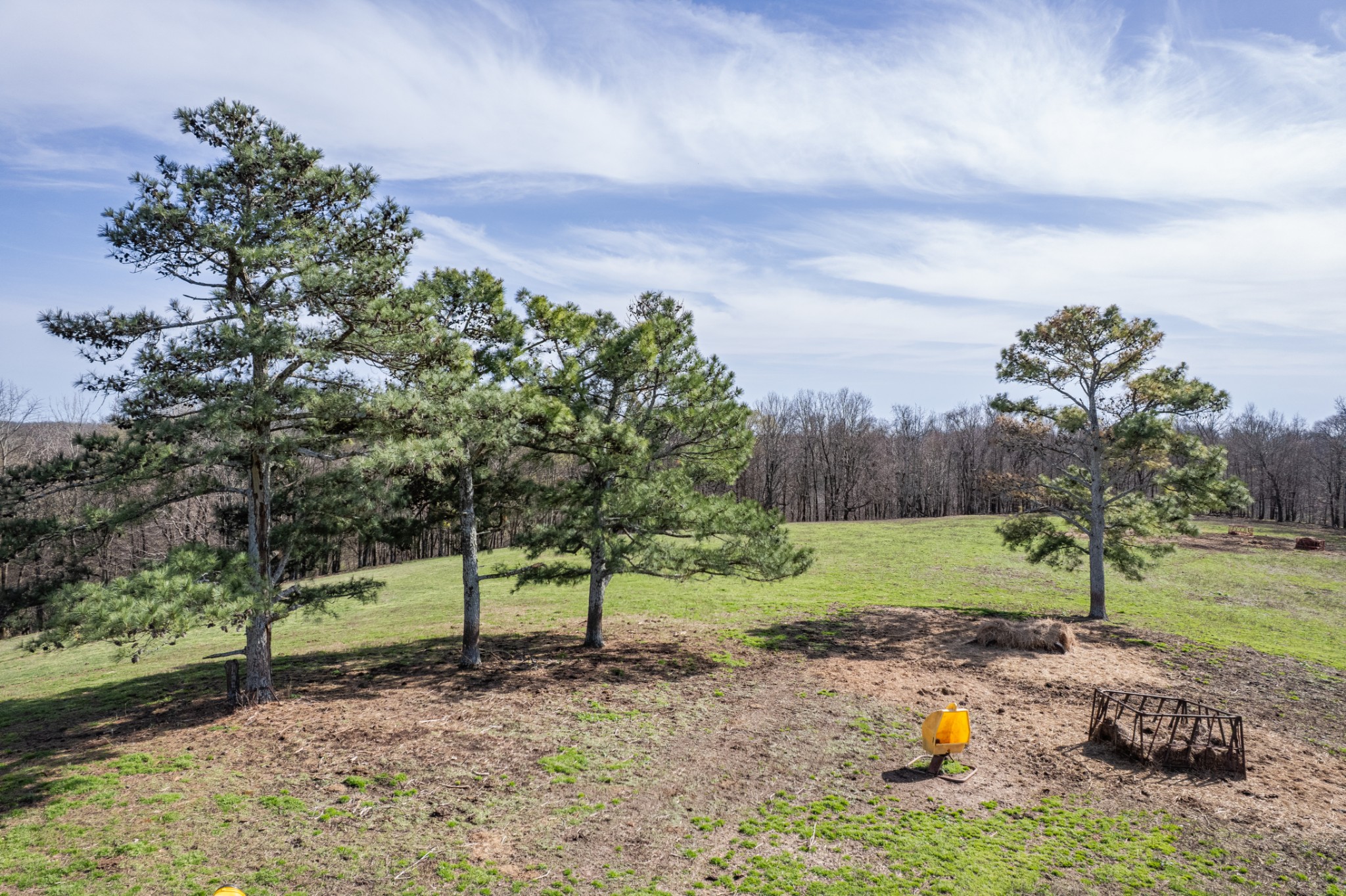 2675 Red Nix Road Cornersville, TN 37047 - Photo 40 of 52 a view of a park