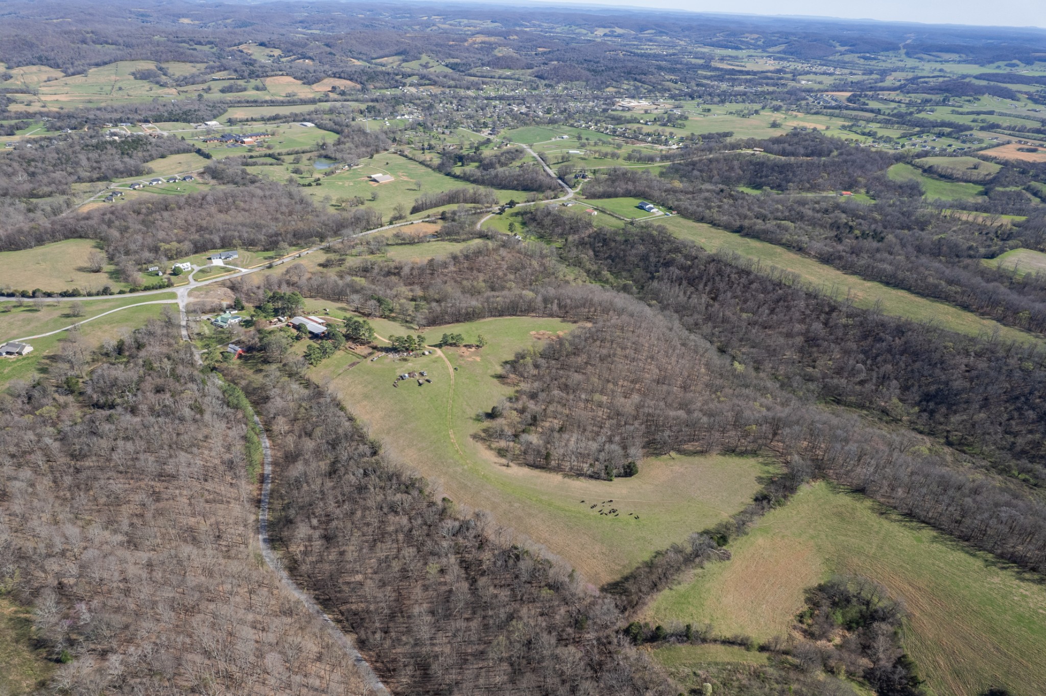 2675 Red Nix Road Cornersville, TN 37047 - Photo 42 of 52 a view of a yard with a mountain