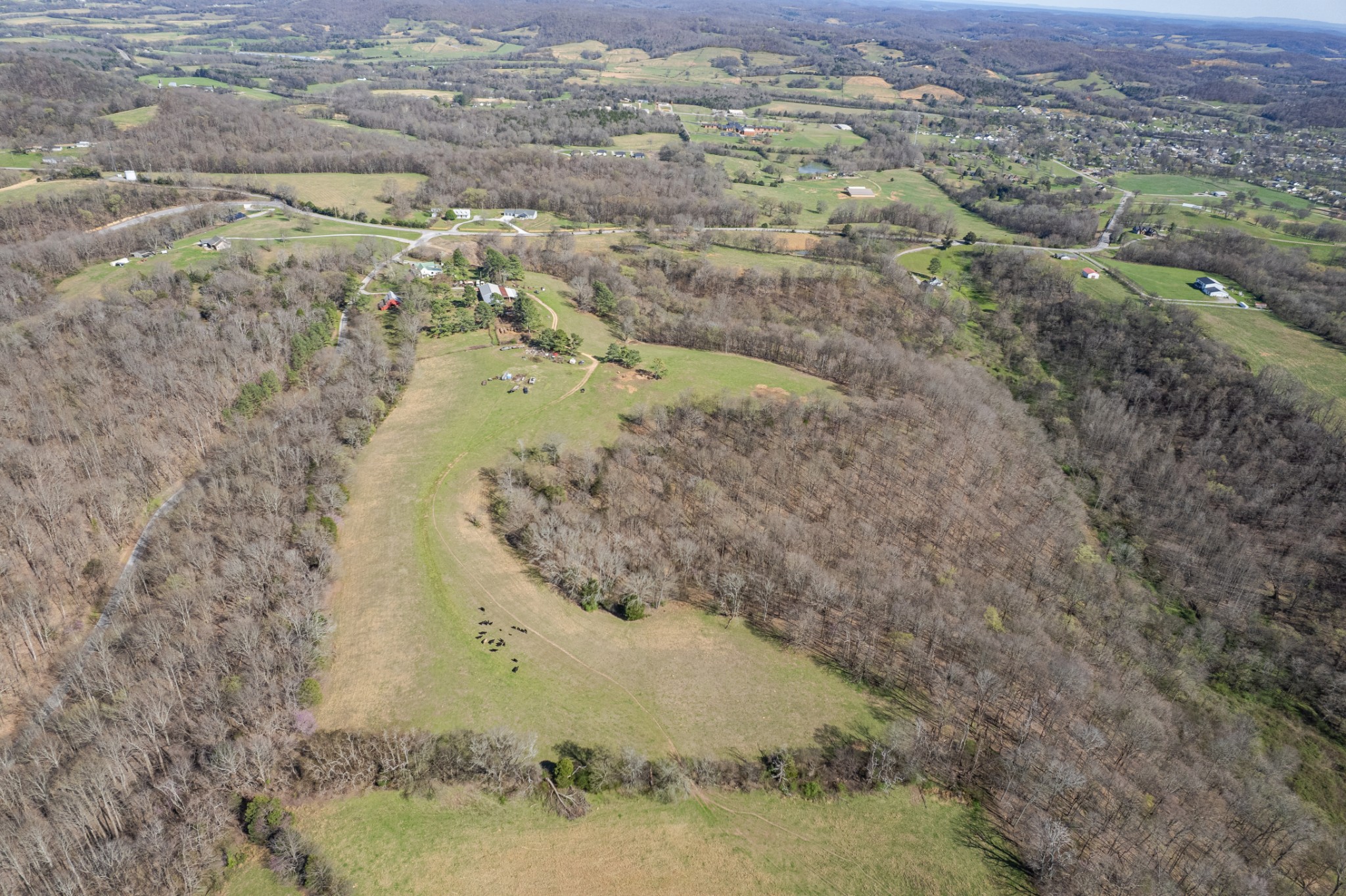 2675 Red Nix Road Cornersville, TN 37047 - Photo 43 of 52 a view of lake view