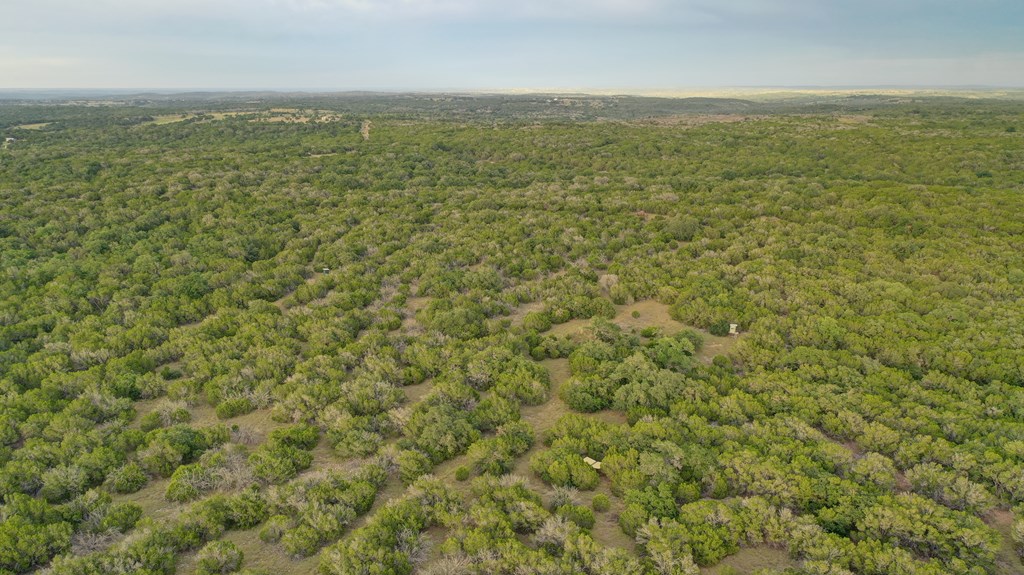 438 Yellowstone Lane Hunt, TX 78024 - Photo 39 of 47