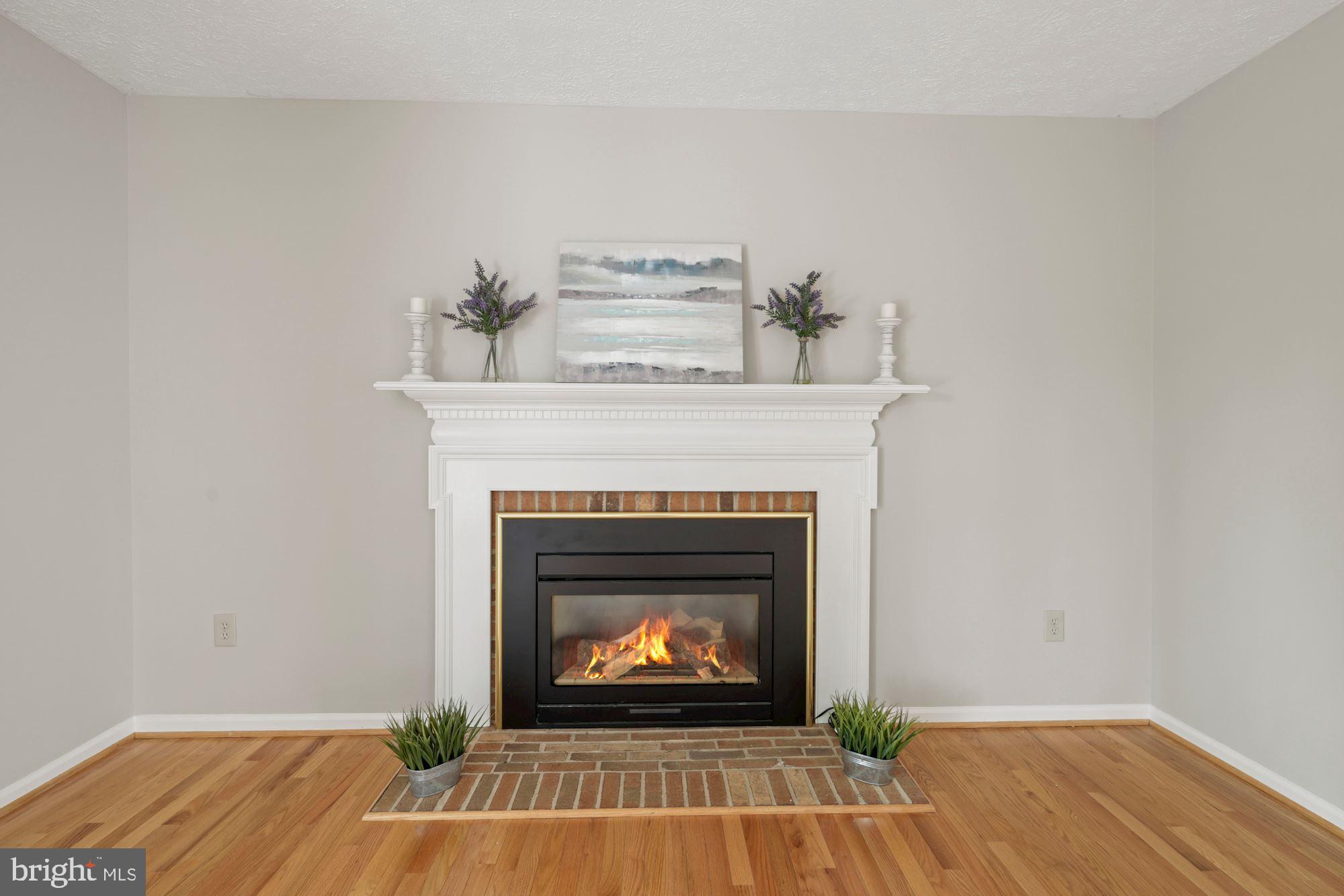13464 Bregman Road Silver Spring, MD 20904 - Photo 12 of 53 Cozy Fireplace!