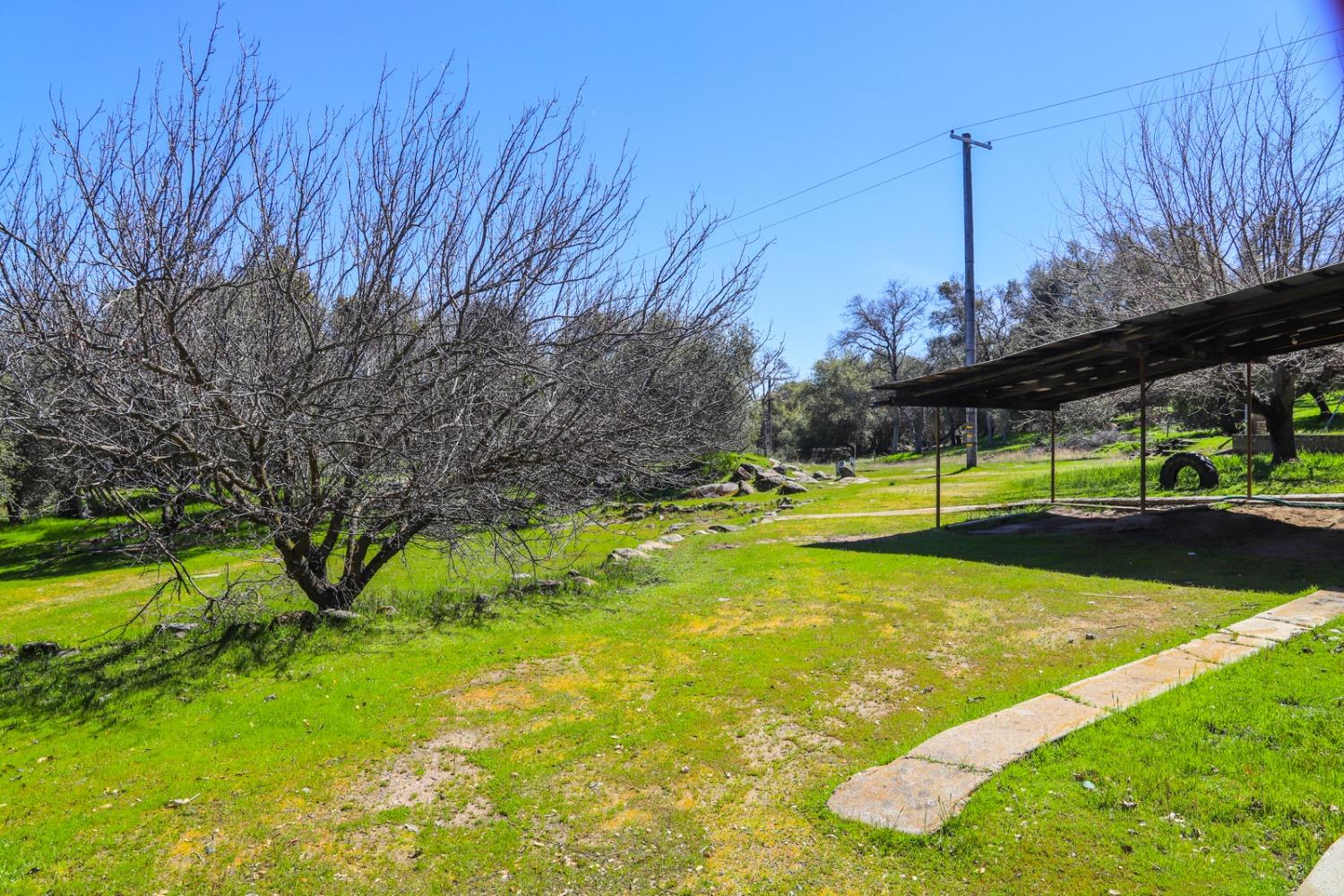 45318 Road 415 Coarsegold, CA 93614 - Photo 42 of 46