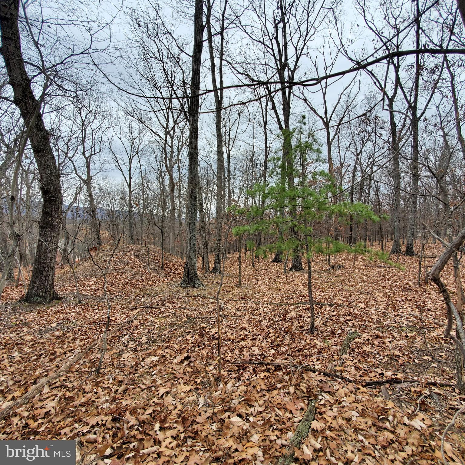 1409 Tabor Road Berkeley Springs, WV 25411 - Photo 1 of 10