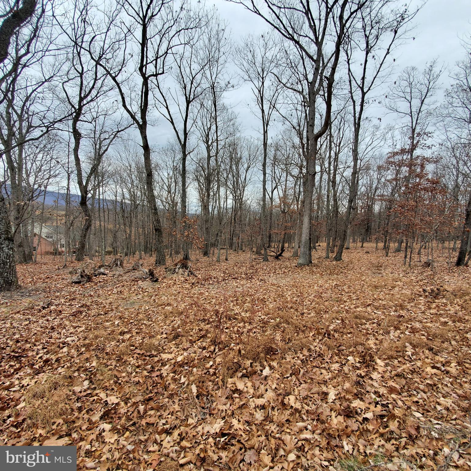 1409 Tabor Road Berkeley Springs, WV 25411 - Photo 4 of 10