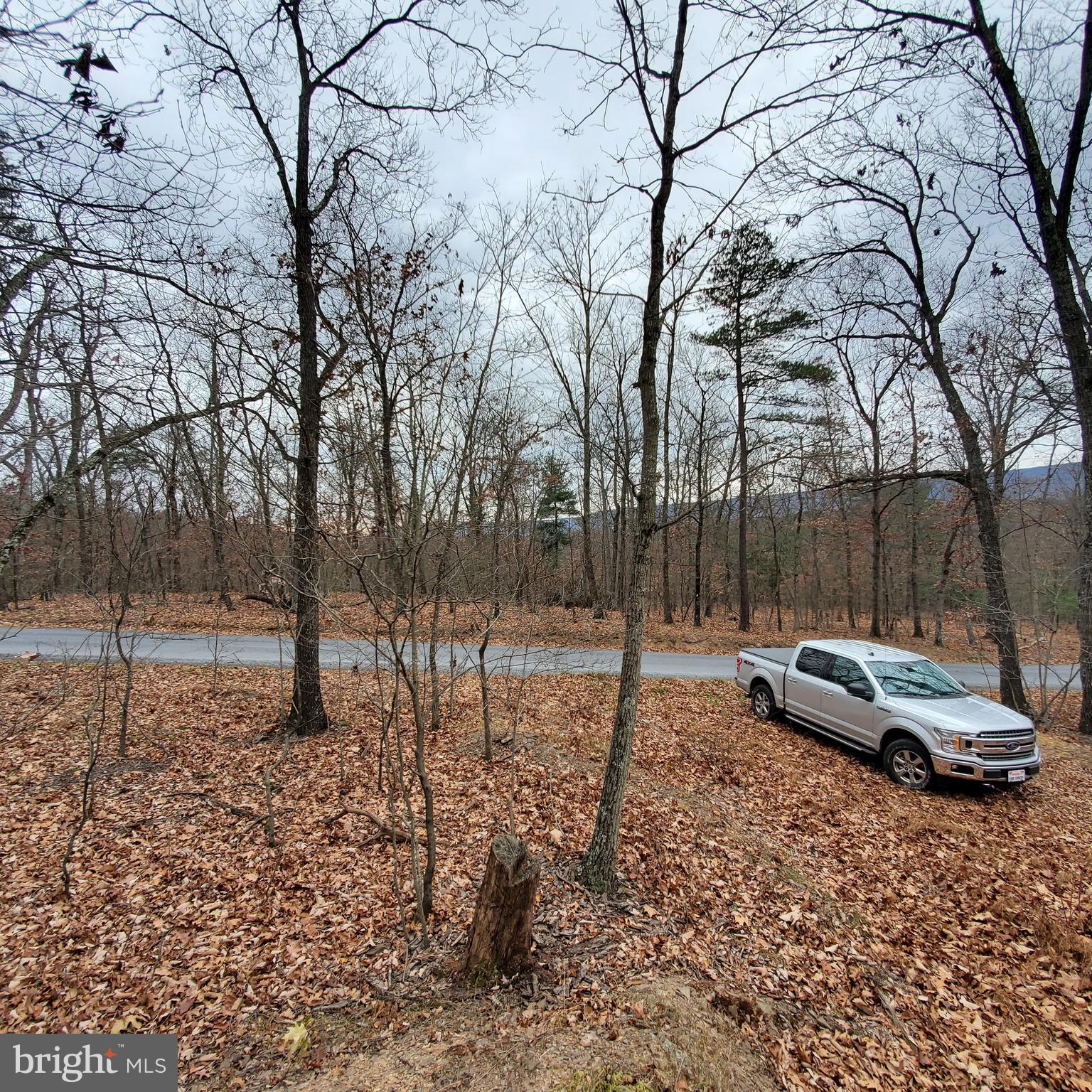 1409 Tabor Road Berkeley Springs, WV 25411 - Photo 7 of 10