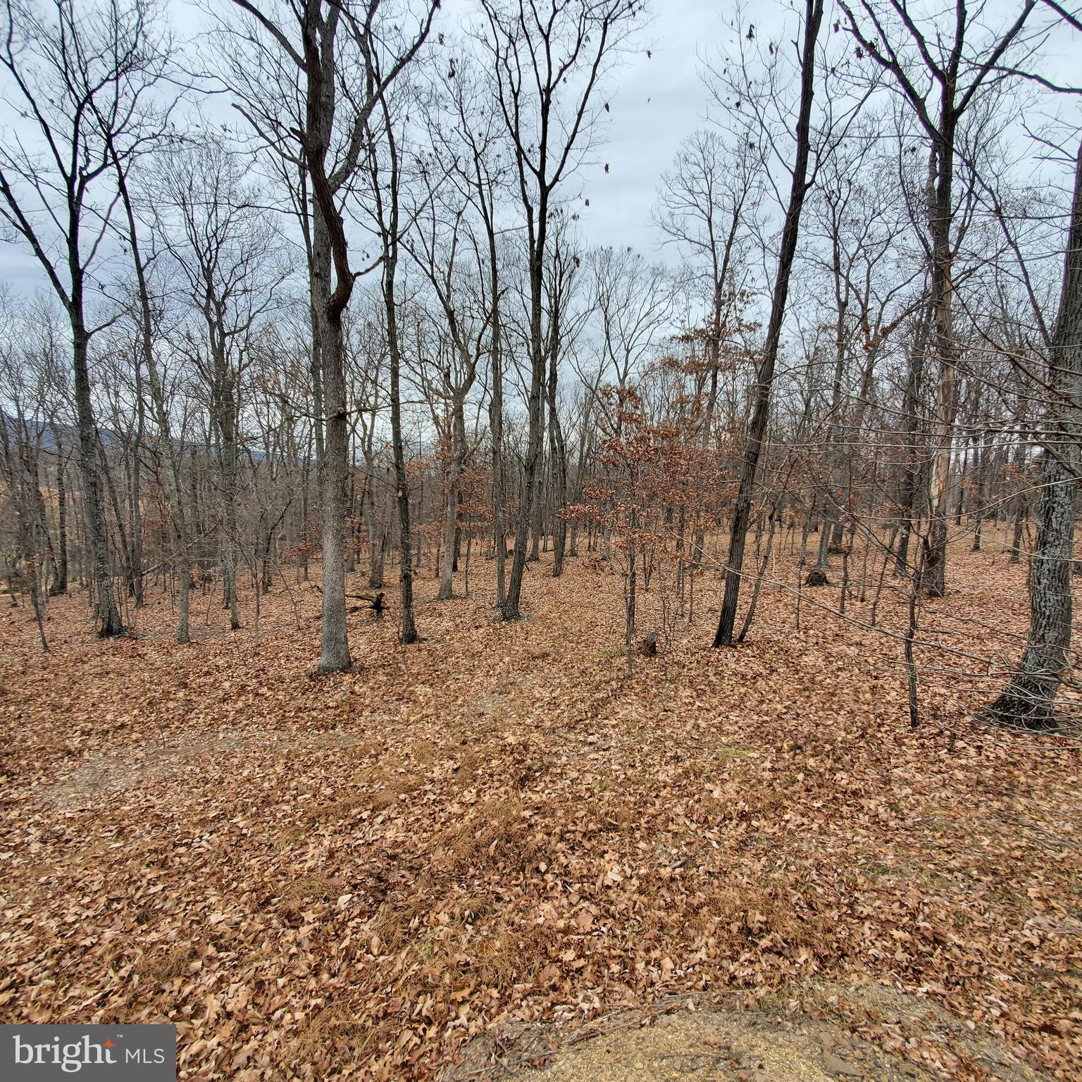 1409 Tabor Road Berkeley Springs, WV 25411 - Photo 8 of 10