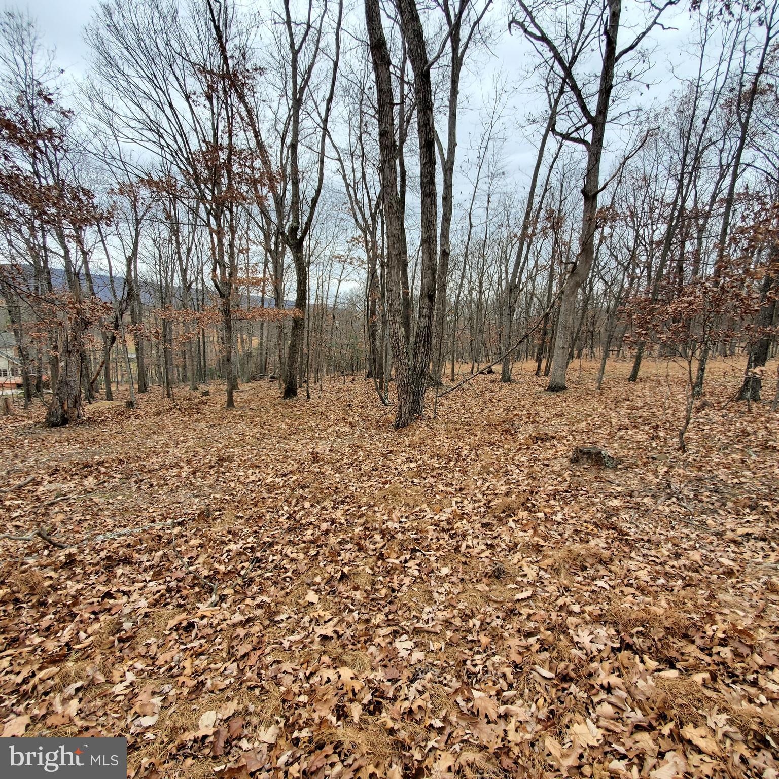 1409 Tabor Road Berkeley Springs, WV 25411 - Photo 10 of 10