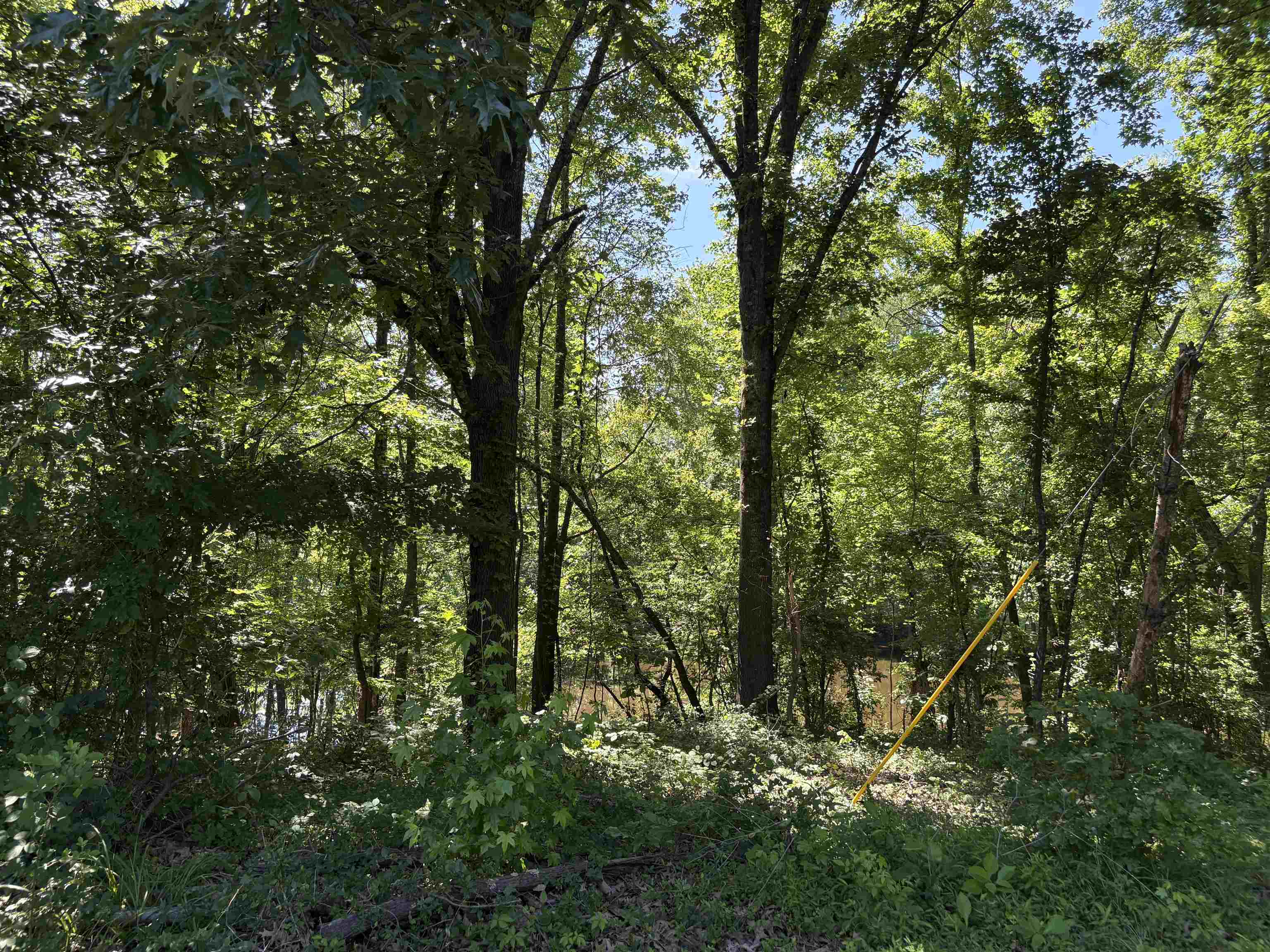 0 Walsh Road, Unit LOT 3 Millington, TN 38053 - Photo 9 of 12