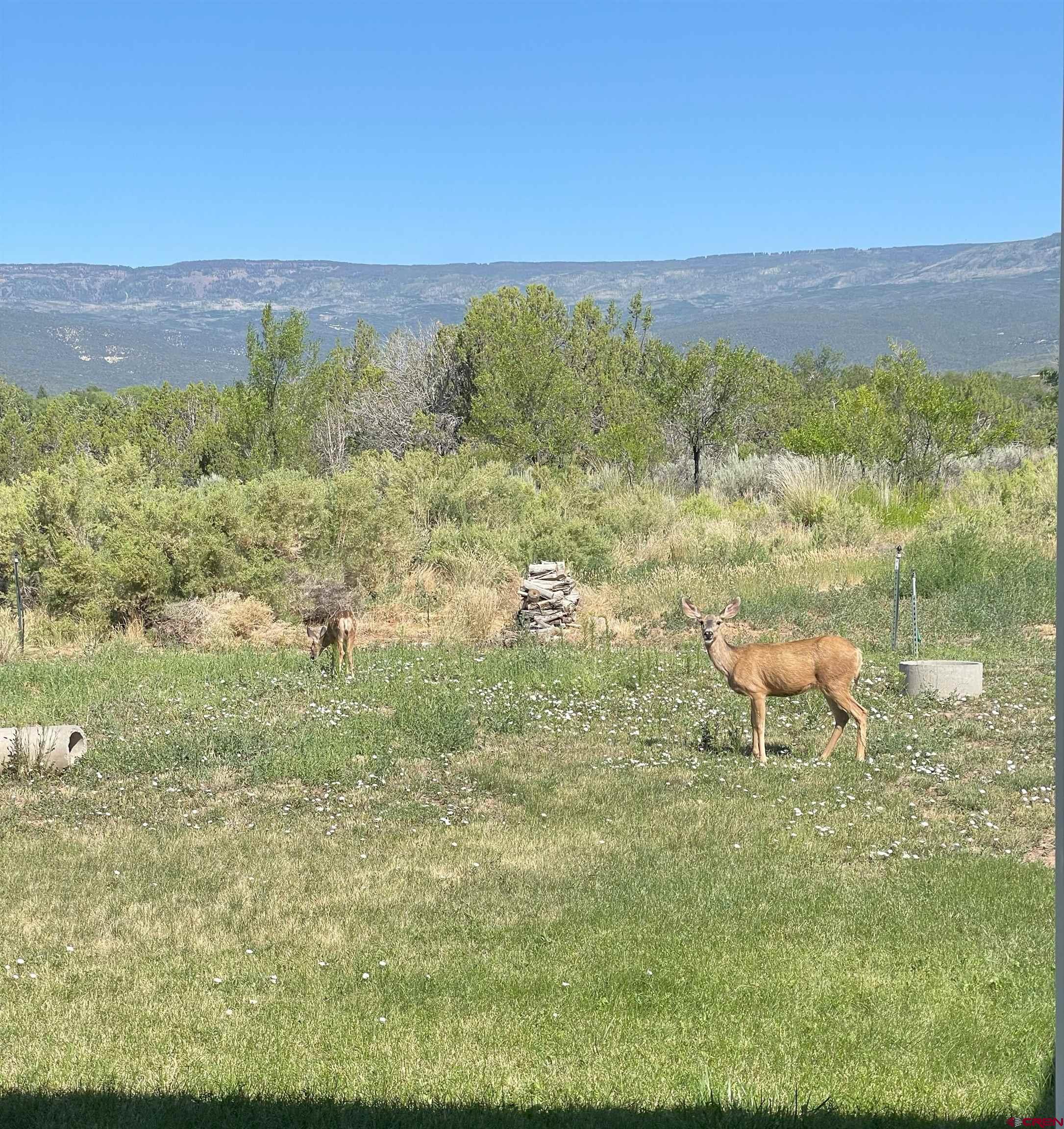 1552 Southwest Painted Fork Road Cedaredge, CO 81413 - Photo 39 of 45 a view of a lake with a mountain
