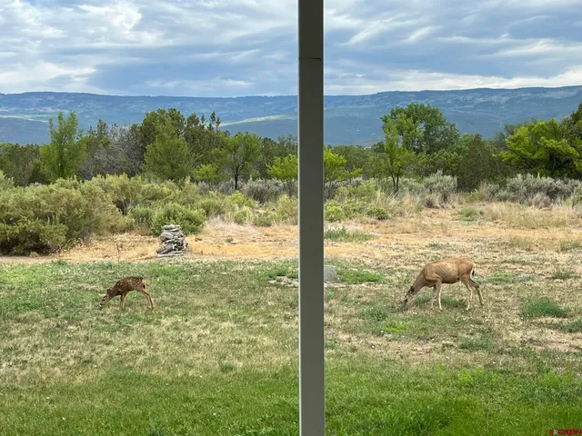 $1,100,000 | 1552 Southwest Painted Fork Road, Cedaredge, CO 81413