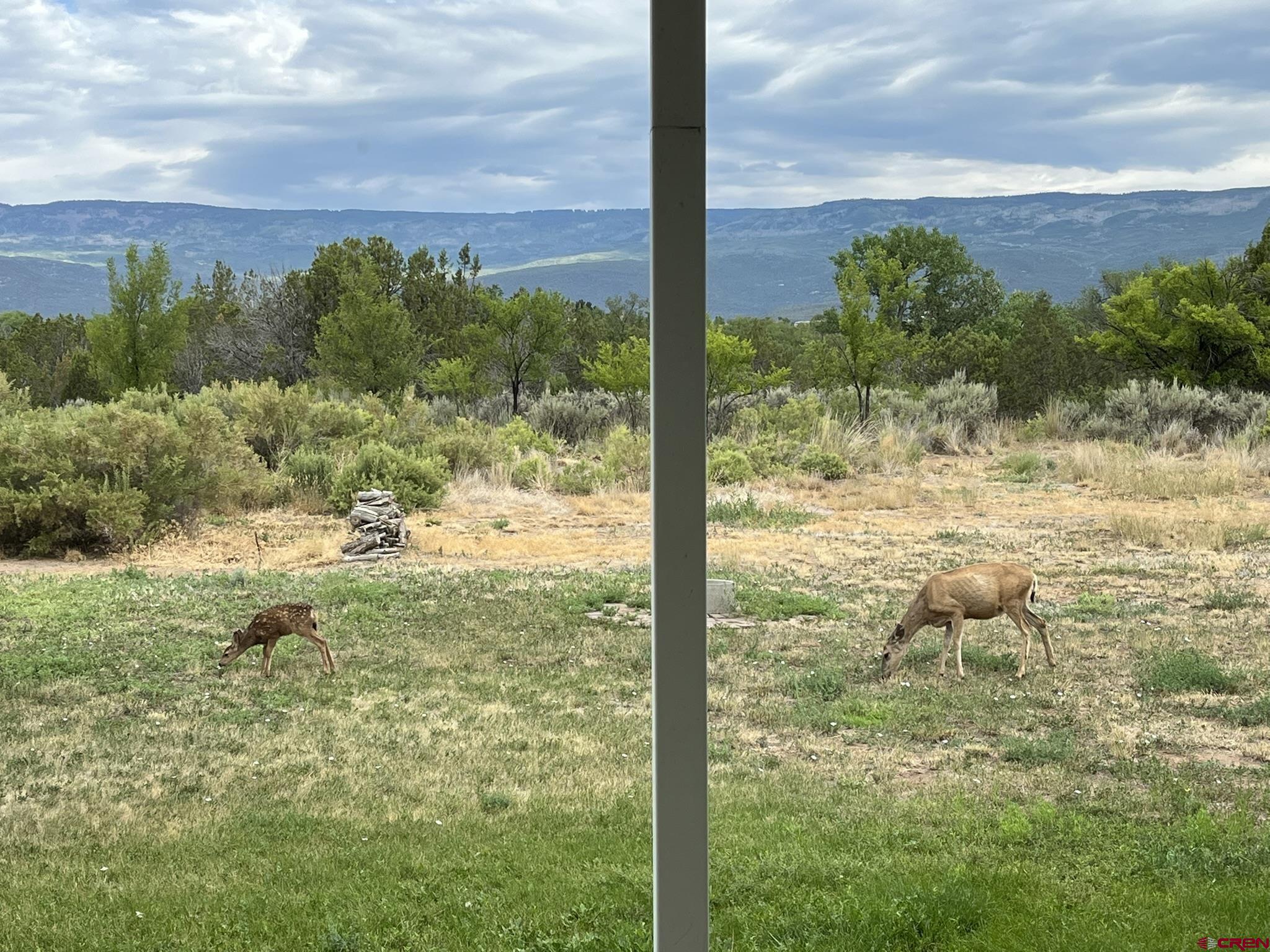 1552 Southwest Painted Fork Road Cedaredge, CO 81413 - Photo 41 of 45 a view of a lake from a yard