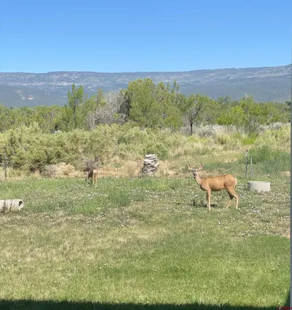 $990,000 | 1552 Southwest Painted Fork Road, Cedaredge, CO 81413