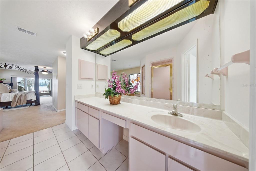 20140 West County Line Road Lutz, FL 33558 - Photo 35 of 63