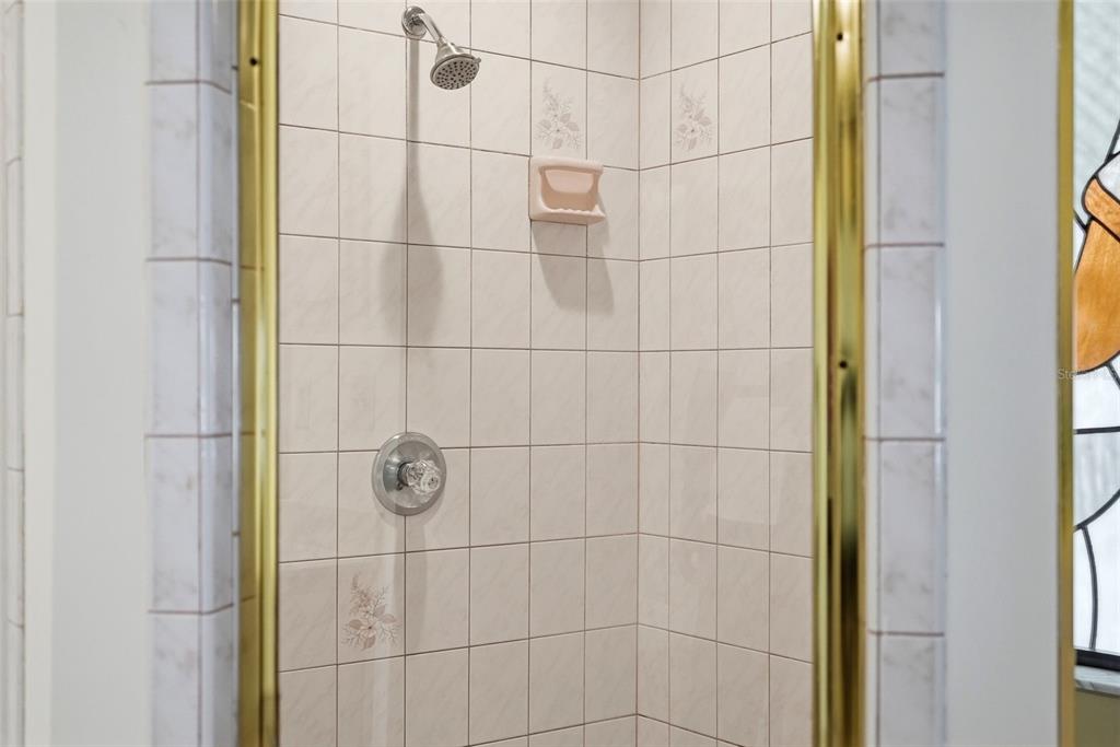 20140 West County Line Road Lutz, FL 33558 - Photo 38 of 63