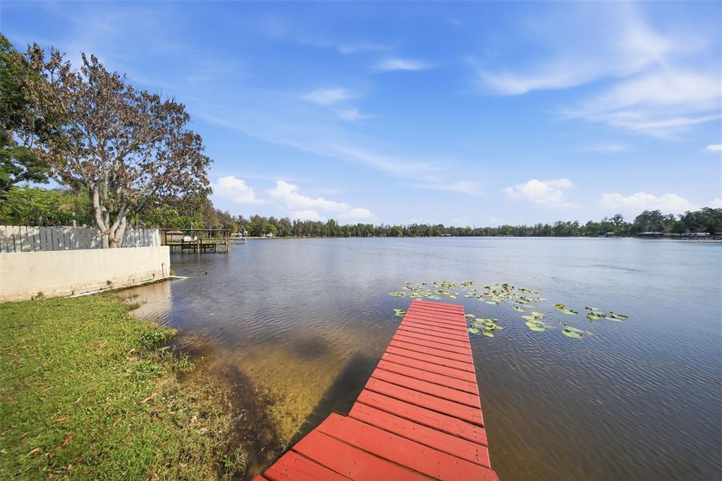 20140 West County Line Road Lutz, FL 33558 - Photo 46 of 63