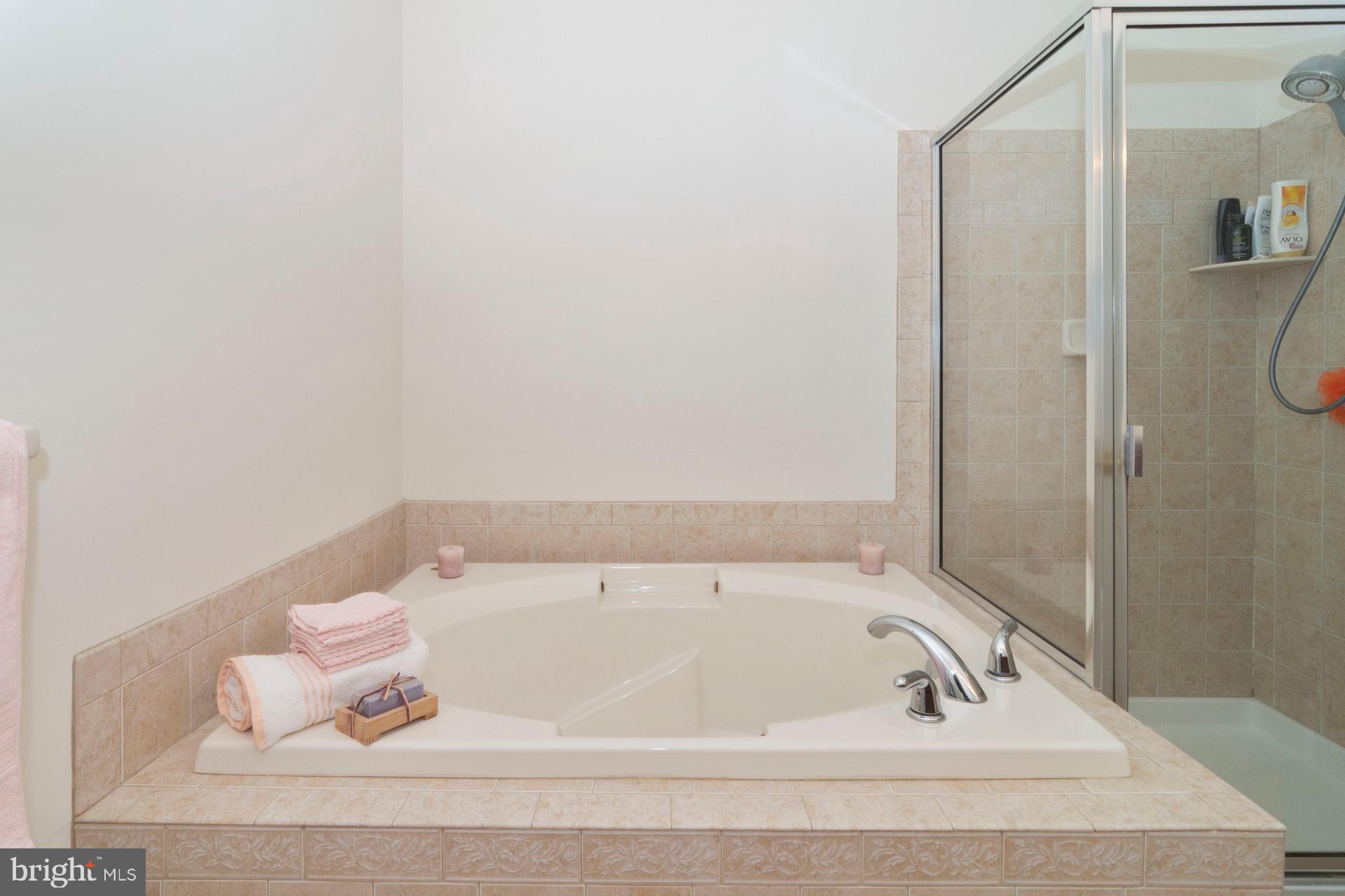274 Sydney Road Holland, PA 18966 - Photo 25 of 53 Master Bath Jacuzzi Soaking Tub