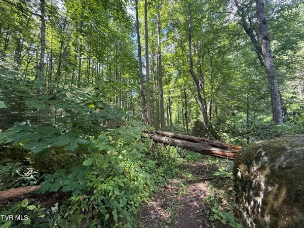 $132,900 | Tbd Dennis Cove Road, Hampton, TN 37658