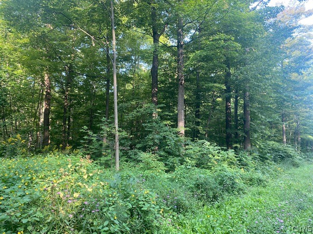 0 Buyea Road Canastota, NY 13032 - Photo 2 of 4 Gallery Image 2
