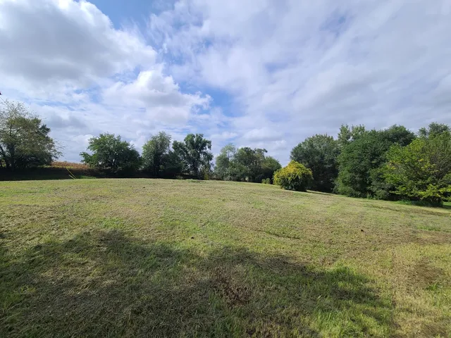 a backyard of a house with lots of green space