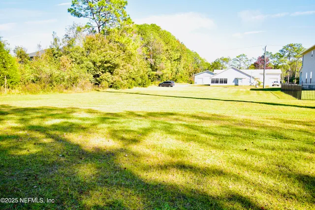 a view of a yard with plants