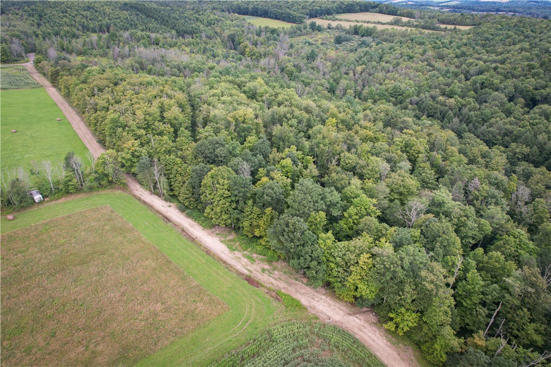 Hill Road Spencer, NY 14883 - Photo 13 of 48