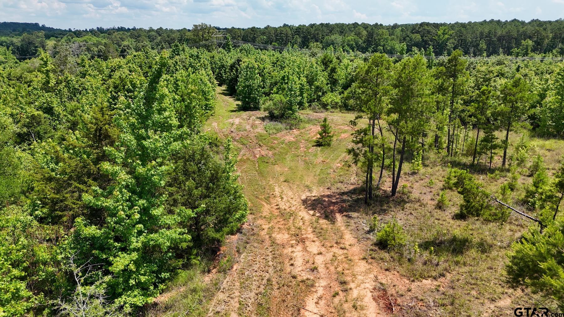 0 Avinger Cut Off Road Avinger, TX 75630 - Photo 24 of 48