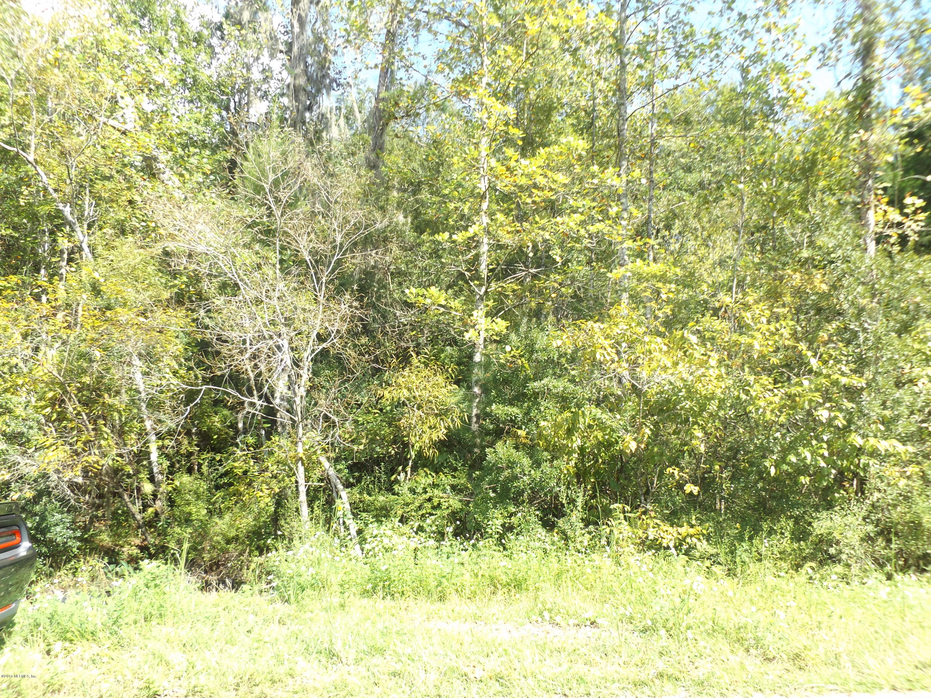 0 Green Road Middleburg, FL 32068 - Photo 1 of 2 DSCF1070