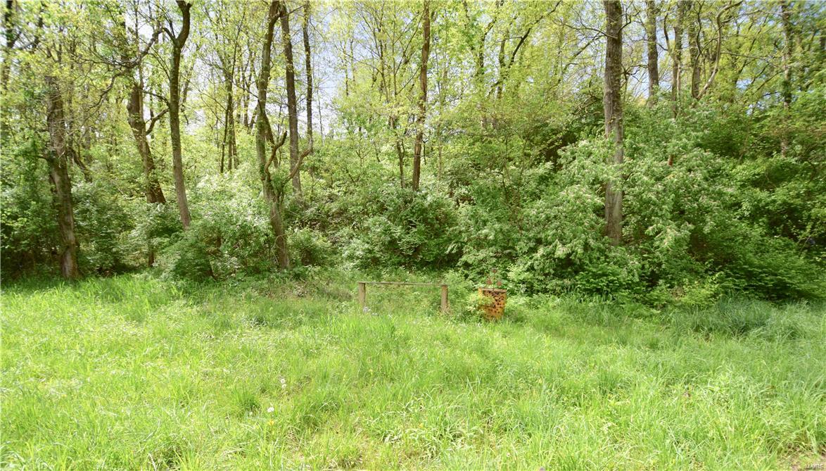 7360 Jerusalem Road Edwardsville, IL 62025 - Photo 54 of 67