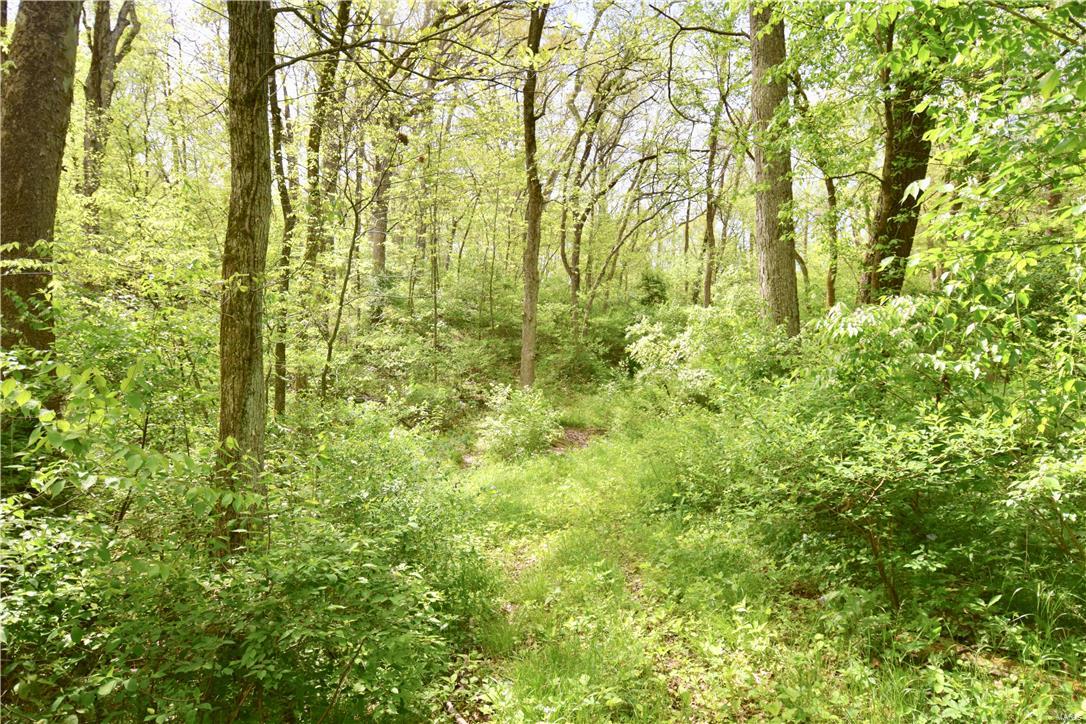 7360 Jerusalem Road Edwardsville, IL 62025 - Photo 55 of 67