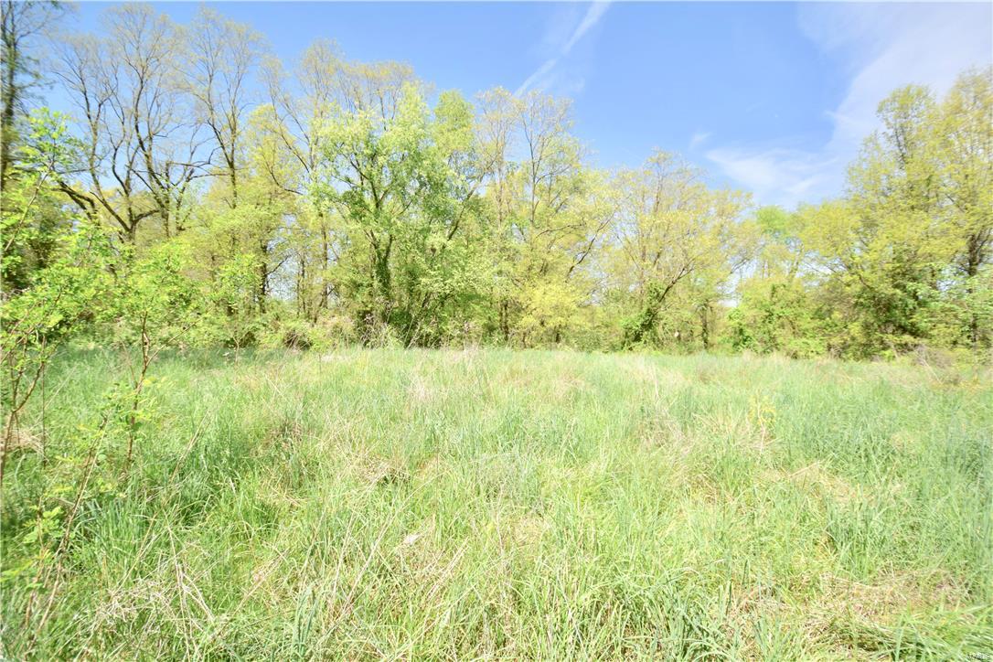 7360 Jerusalem Road Edwardsville, IL 62025 - Photo 57 of 67