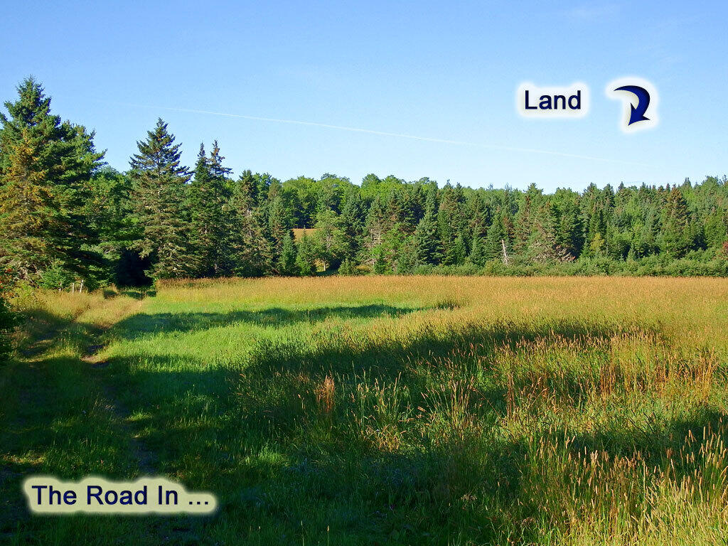 Lot 1 Us Route 212 Road Merrill, ME 04780 - Photo 8 of 14 dunn-merrill-me-land-2