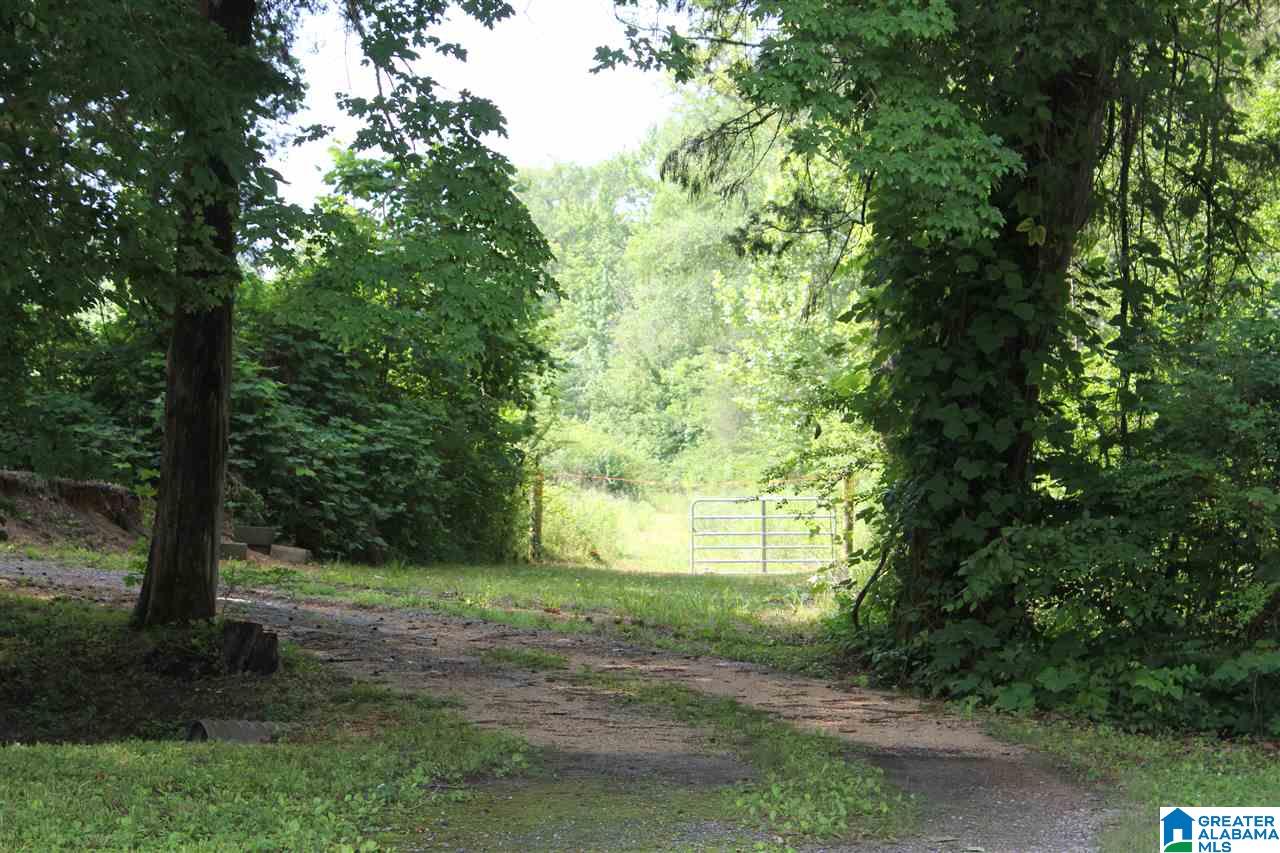 2727 Marvel Road Brierfield, AL 35035 - Photo 19 of 22
