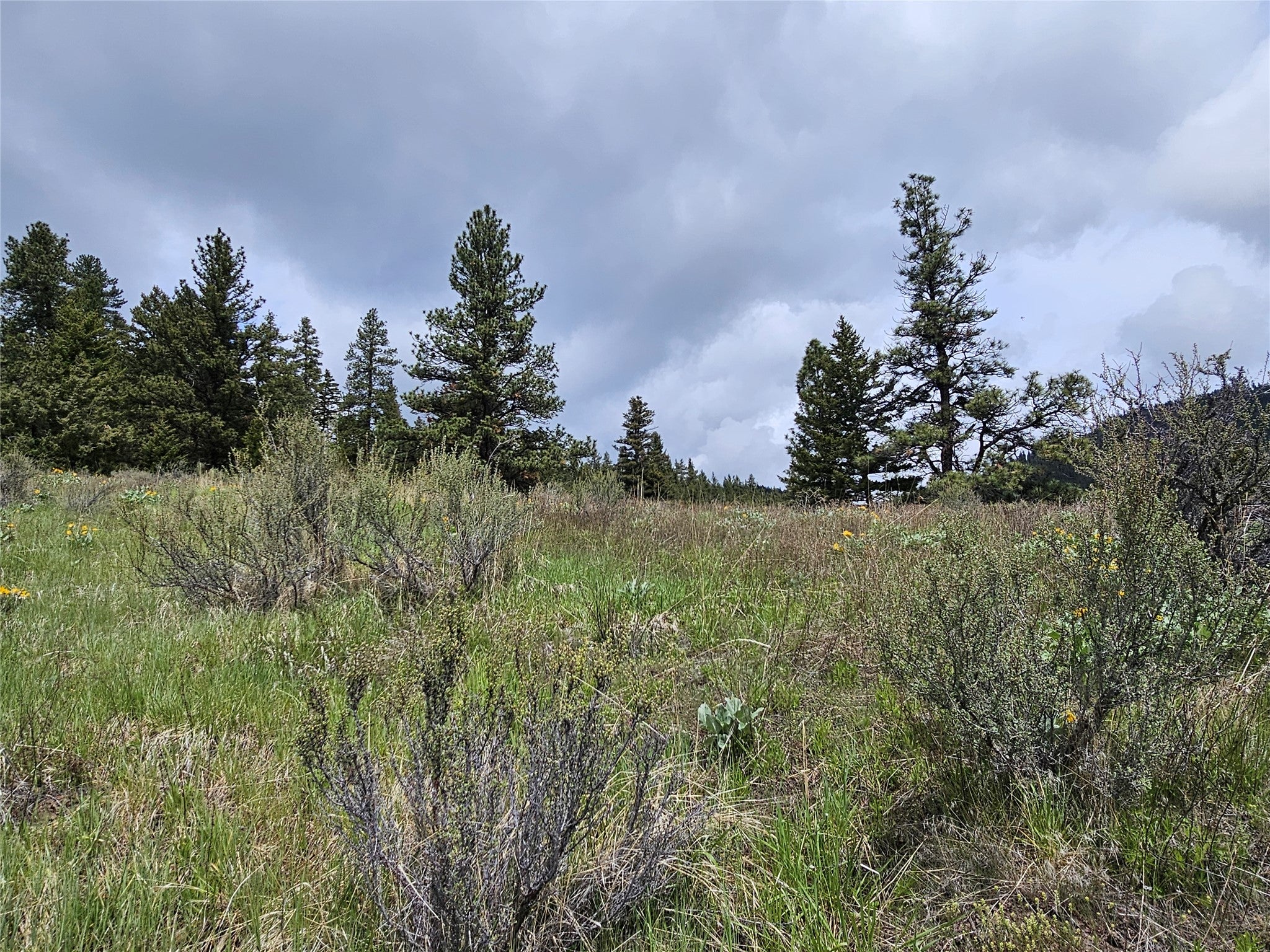 18866 Copper Rdg Trail Florence, MT 59833 - Photo 26 of 139 Gallery Image 26