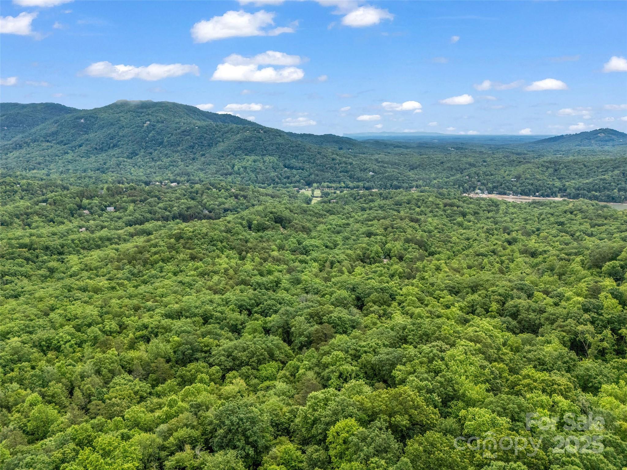 0 Quail Ridge Road, Unit 214 Tryon, NC 28782 - Photo 13 of 38